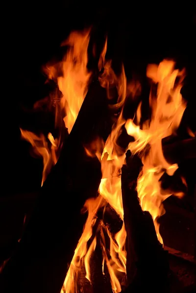 DSC_3557 (Large).JPG